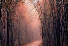 一般化學試驗（實驗、檢驗）設備